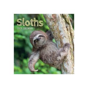 2024 sloth wall calendar